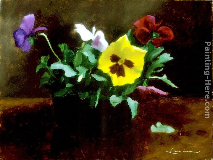 Steven J Levin Pansies